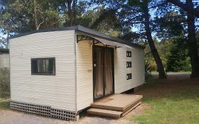 Zeehan Bush Camp